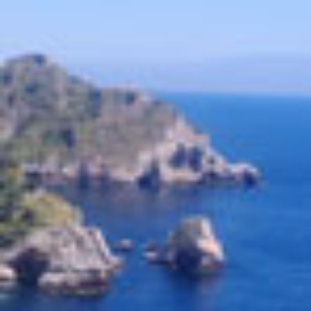 Divine Mexican Kitchen